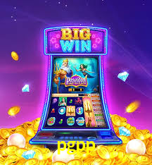 Interface Premium pgpp