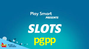 Programa VIP pgpp